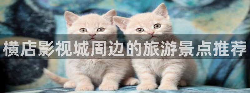 西瓜影视在线观看电视剧大全